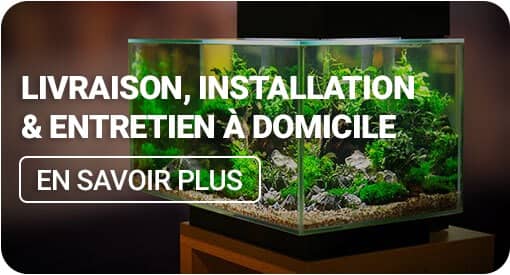 livraison et installation
